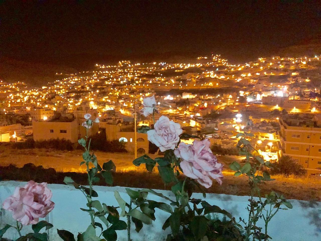 Petra Harmony Bed & Breakfast Wadi Musa Exterior foto